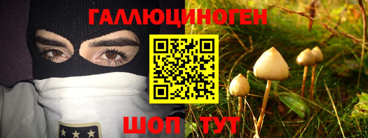 Псилоцибиновые грибы ЛСД  Вход с VPN  купить наркотик  Майский  Галлюциногенные грибы MAGIC MUSHROOMS 