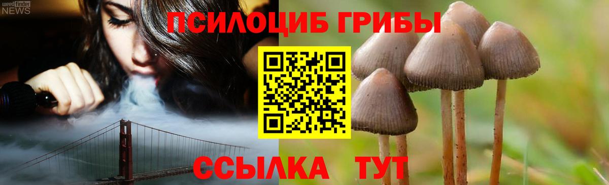 Галлюциногенные грибы ЛСД Майский